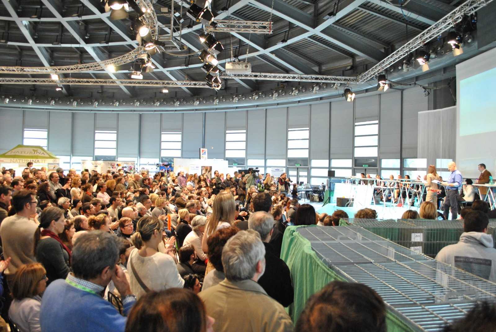 Expo