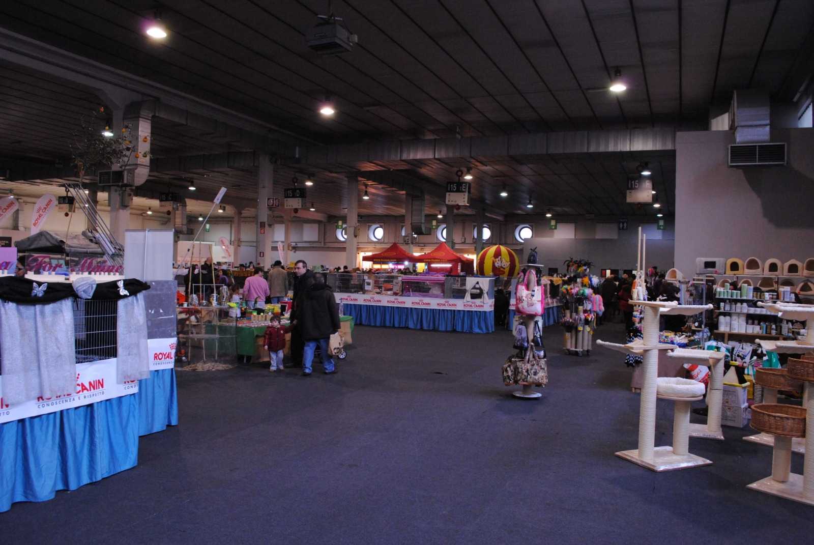 Expo