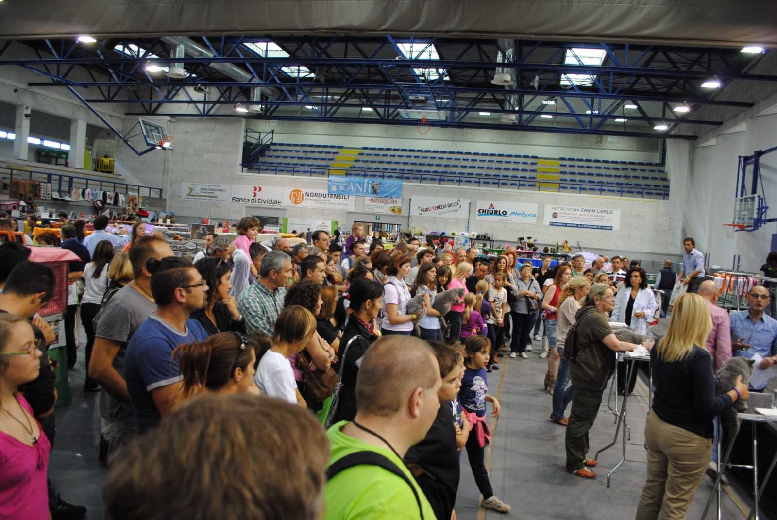 Expo