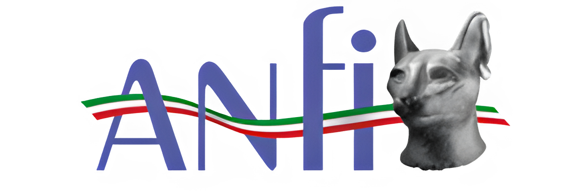 ANFI Logo